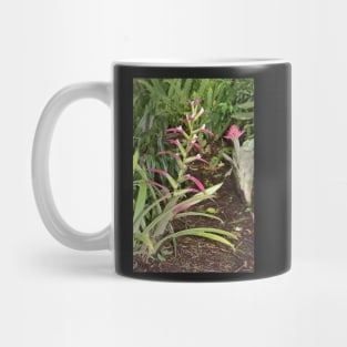 Bromeliads Mug